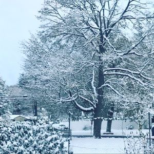 Meet your Posher, Daria